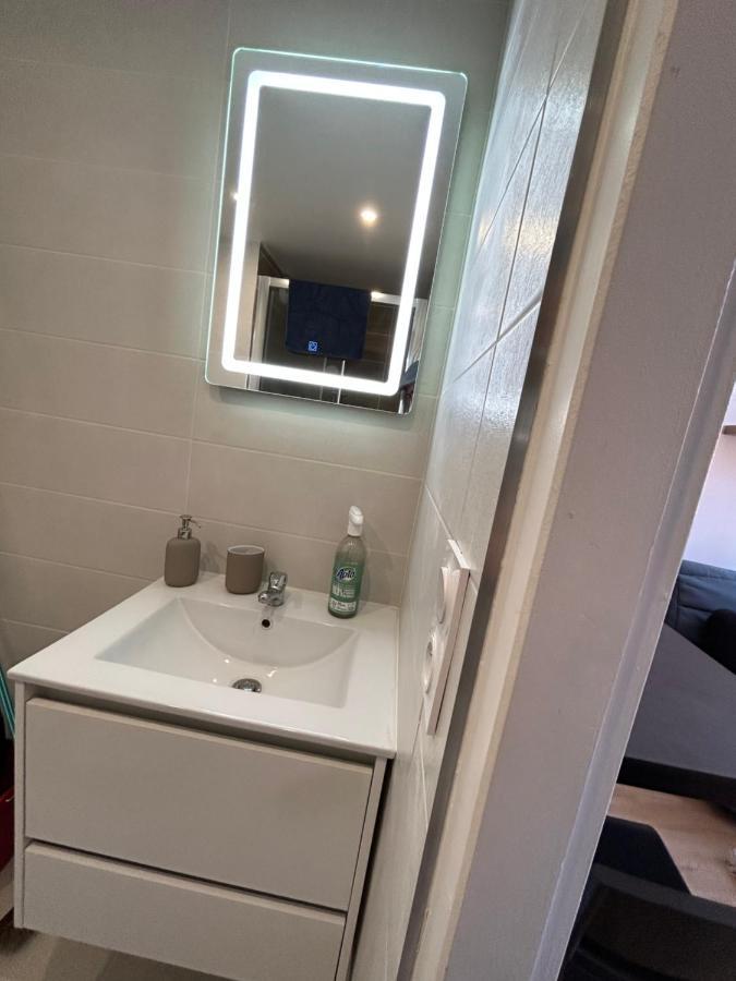 Le Cygne Blanc Apartamento Toulouse Exterior foto