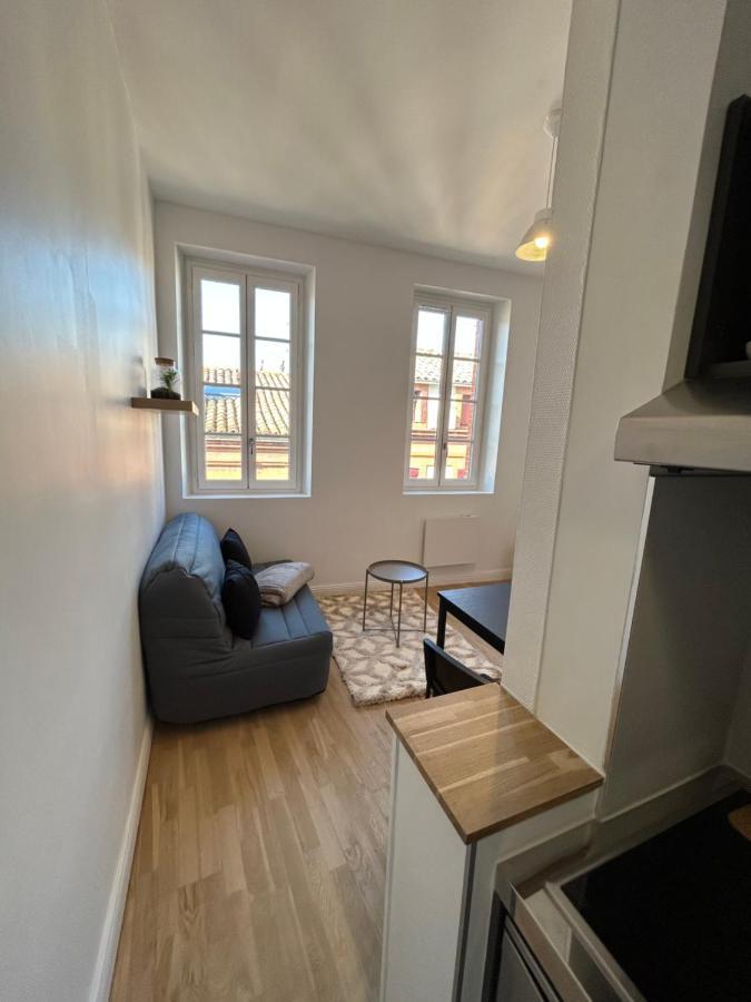 Le Cygne Blanc Apartamento Toulouse Exterior foto